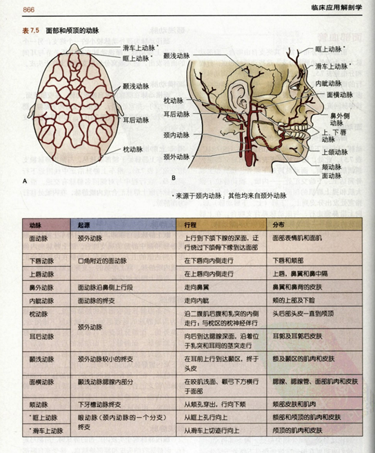 面静脉的血栓性静脉炎